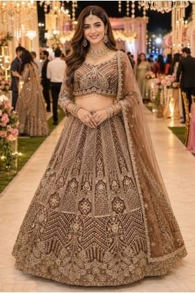 Brown Party Lehenga Choli with Embroidered Net LC9078