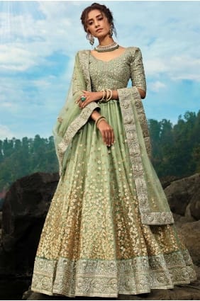 Beautiful Pastel green Net Lehenga Choli lc2815